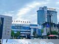 后腦勺的毛囊“換防”到頭頂，隨州市中心醫(yī)院首例毛發(fā)自體移植順利完成