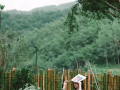 自在小院藏“鄉(xiāng)愁” 和美鄉(xiāng)村有“新韻”