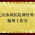 好消息！“近”享頂尖醫(yī)療服務(wù)！協(xié)和醫(yī)院神經(jīng)外科知名專家團(tuán)隊(duì)每周四到市中心醫(yī)院坐診、手術(shù)！