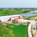 繪就鎮(zhèn)域新畫卷 ——廣水市駱店鎮(zhèn)推動鄉(xiāng)村振興的實踐
