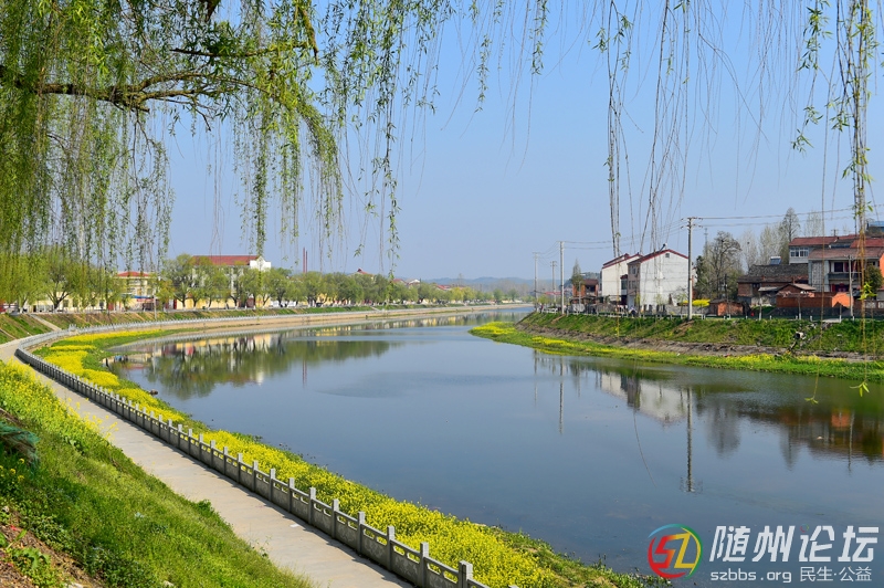 1、《一河兩岸》 林俊.jpg
