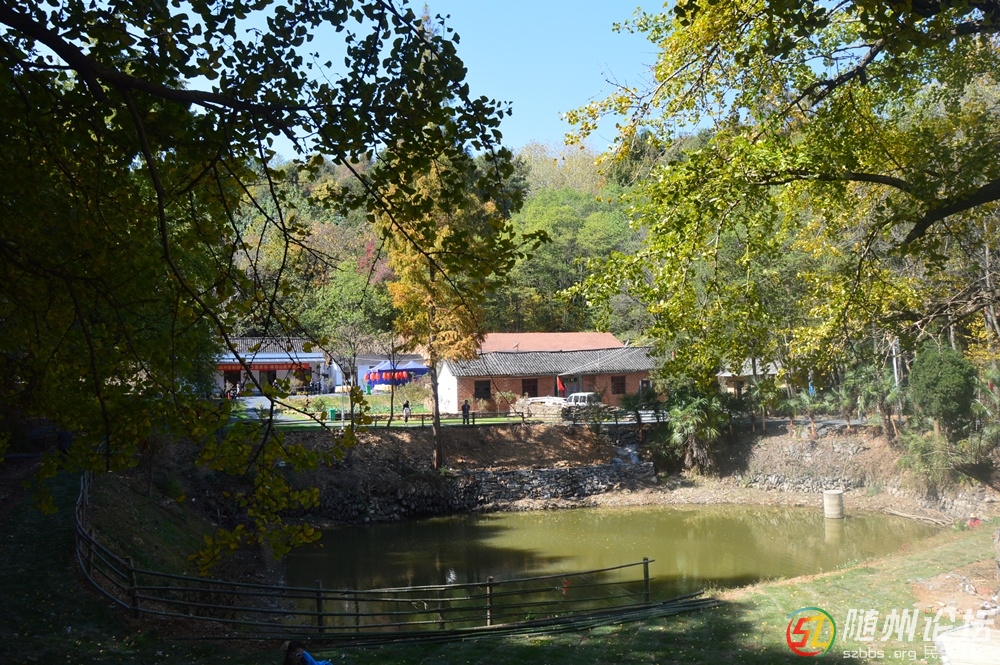 DSC_2557.JPG