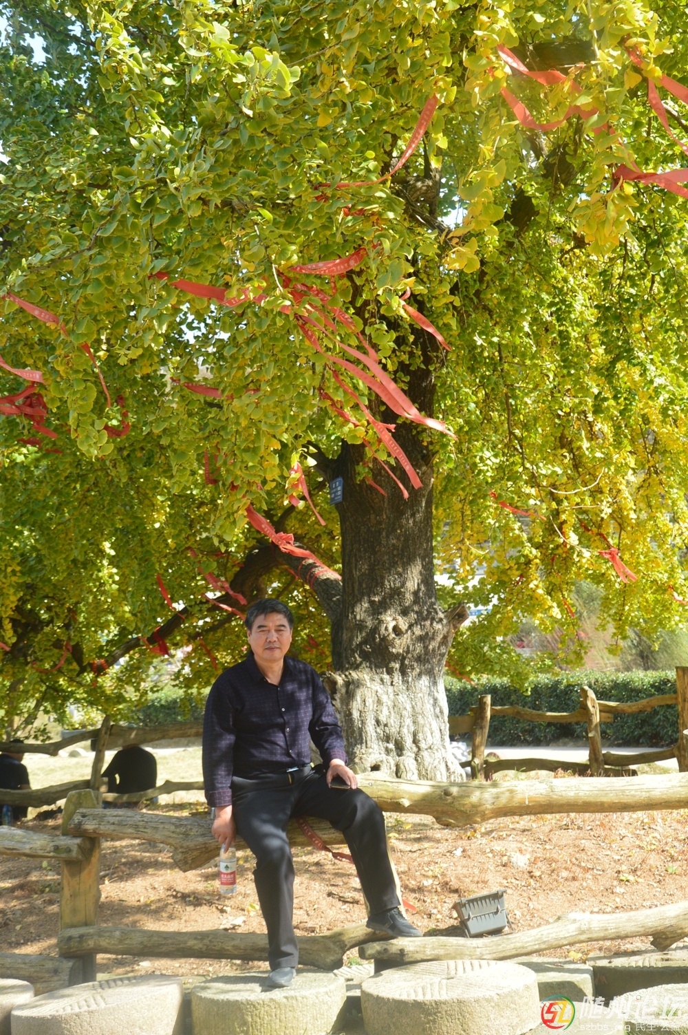 DSC_2603.JPG