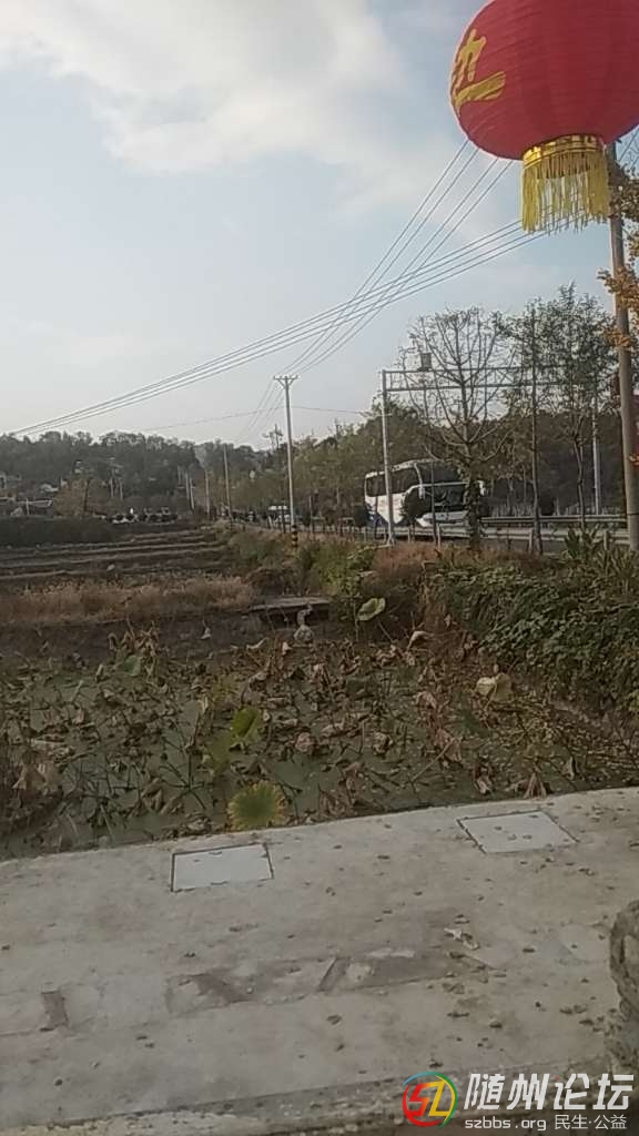 20181103_17382348_1541247981043.jpg