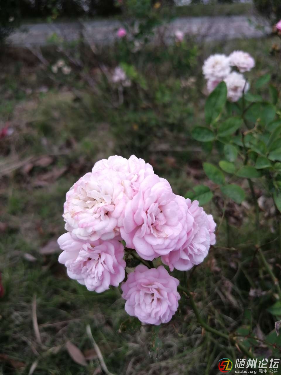20181103_17383077_1541250429585.jpg