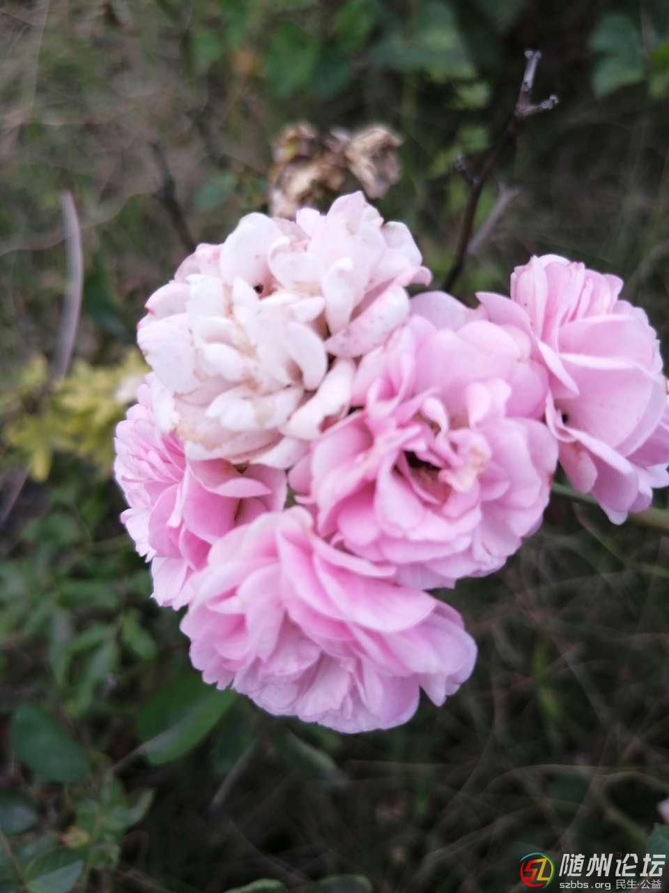 20181103_17383077_1541250528354.jpg