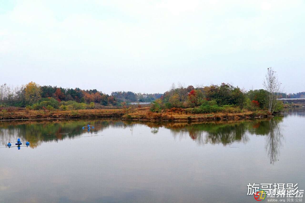 20181107_17390550_1541587314770.jpg