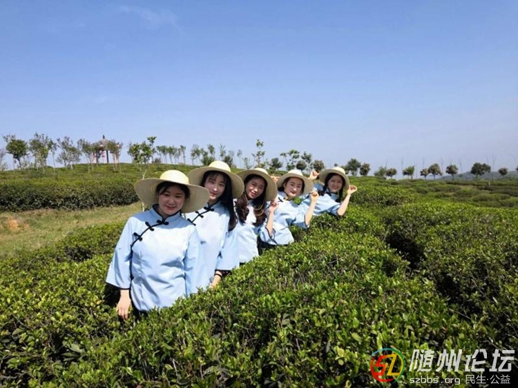唱采茶歌.jpg