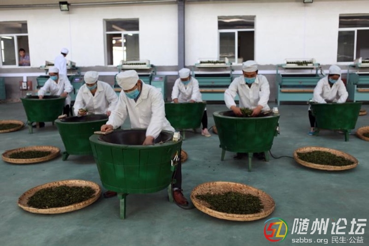 制茶.jpg
