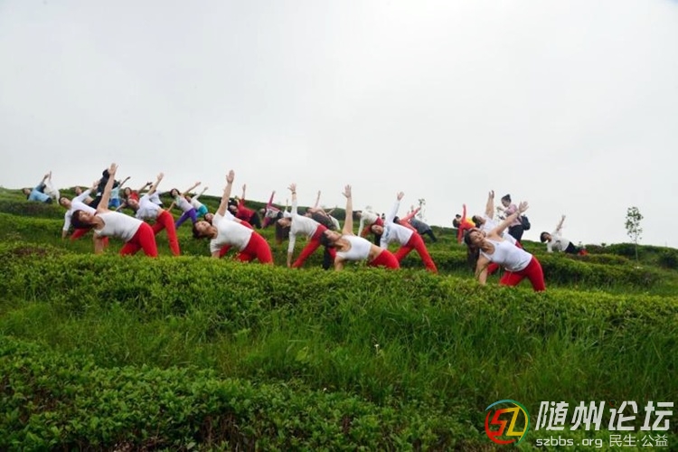 茶園中舞蹈.jpg
