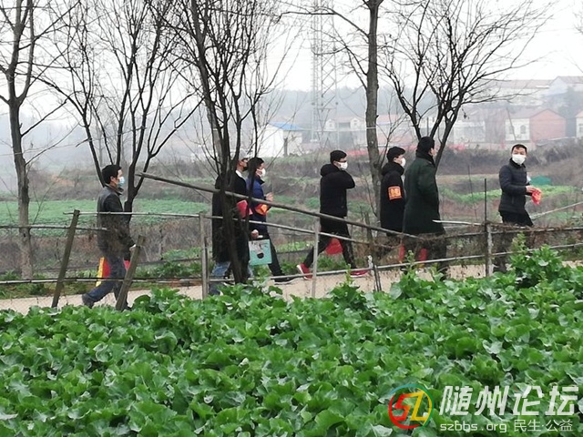 河6.jpg