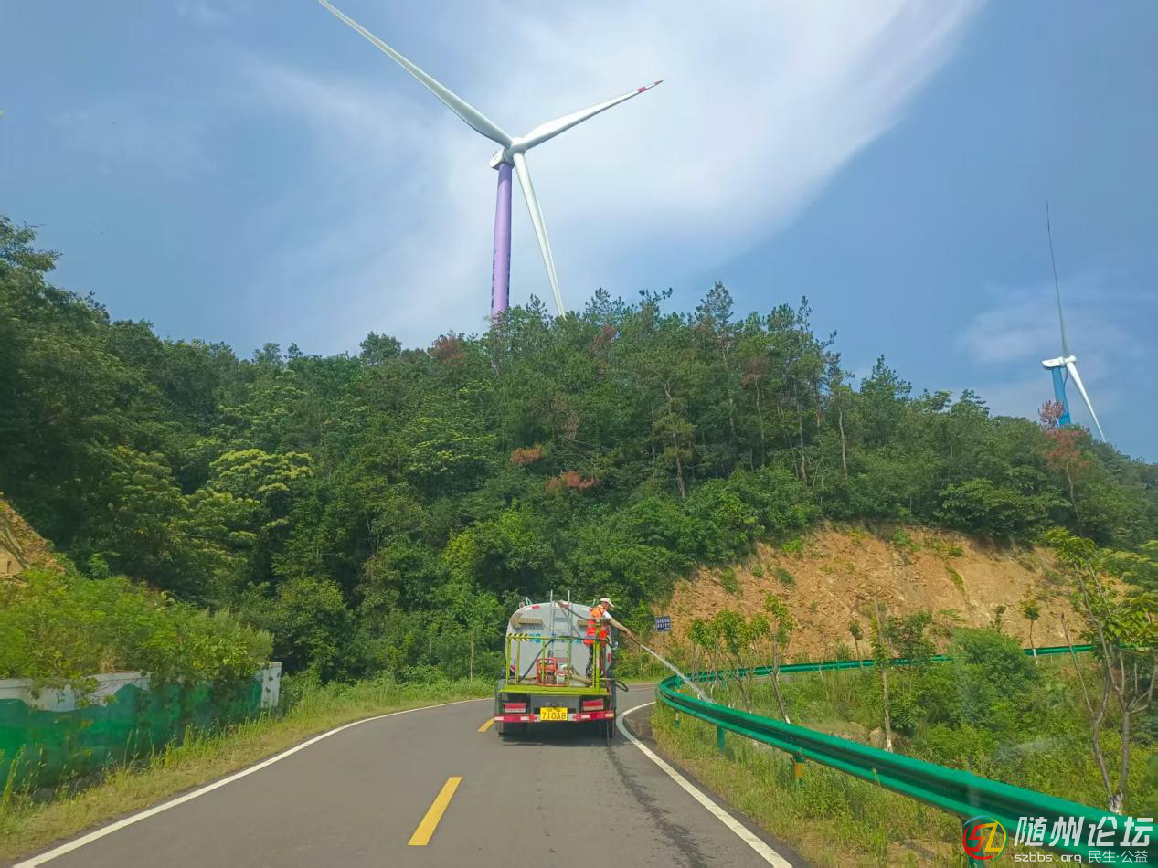 區(qū)道路水路運(yùn)輸事業(yè)發(fā)展中心全力開展農(nóng)村公路綠化養(yǎng)護(hù)工作